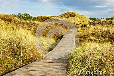 Dunes on the North Sea coast on the island Amrum, Germany Stock Photo