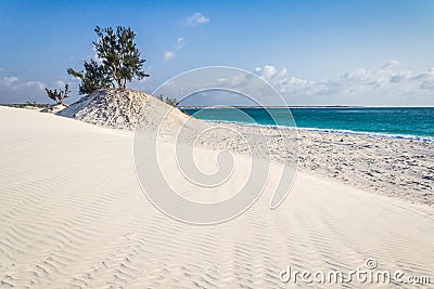 Dunes and wild beach Stock Photo