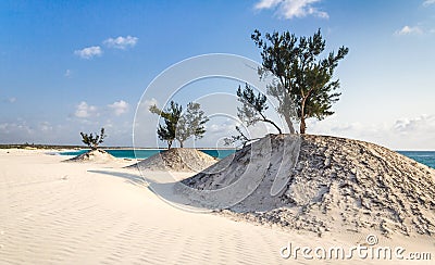 Dunes and wild beach Stock Photo