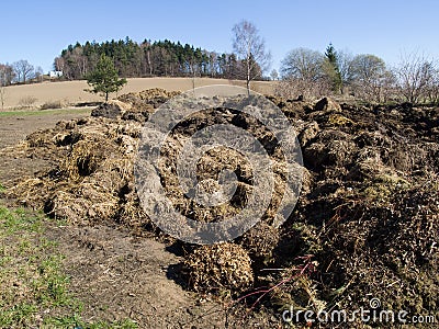 Dung pile Stock Photo