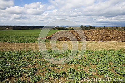 Dunghill Stock Photo