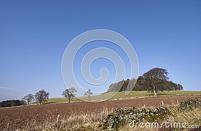 Dunnichen Hill and woodland, with its surrounding Farmland and Grassland upon which Scottish Hill Sheep graze. Stock Photo