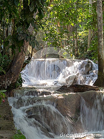 Dunns river falls flowing in forest Stock Photo