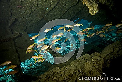 Dunraven wreck Stock Photo