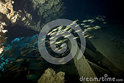 Dunraven wreck Stock Photo