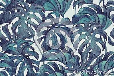 Duo tone colored monstera leaves seamless pattern. Tropical leaf sketch Cartoon Illustration