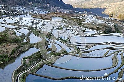 Duoyishu Rice Terraces Yuanyang Yunnan Province China Stock Photo