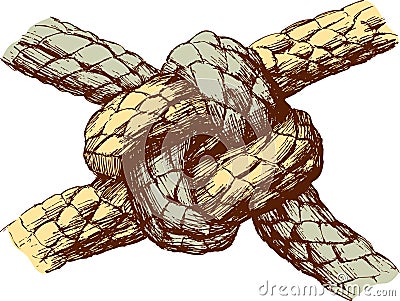 Durable knot Vector Illustration