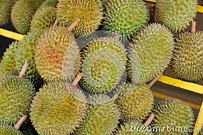 Durain Fruits for sale Stock Photo