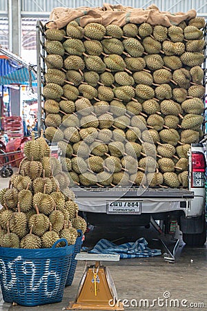 Durain the king of fruits in thailand market. Stock Photo