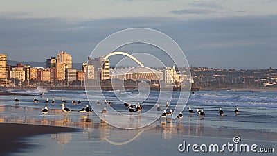 Durban South Africa Editorial Stock Photo