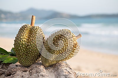 Durian on the beach Stock Photo