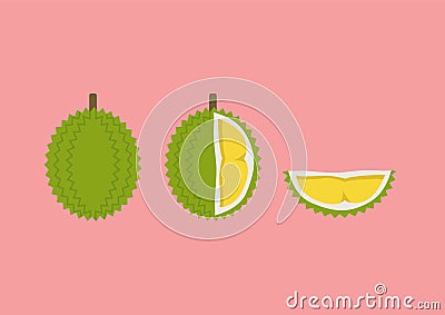 Durian with cut piece set in flat style Vector Illustration