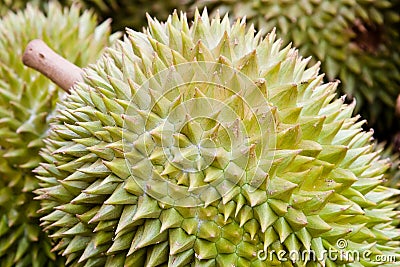 Durian fruit Stock Photo