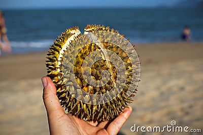 Durian fruit with beach background in Thailand Stock Photo