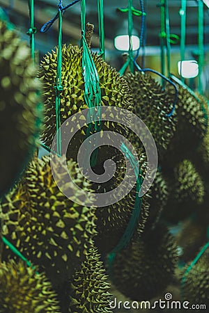 Durian Fruit on Display at Night Market. vertical photo version Stock Photo
