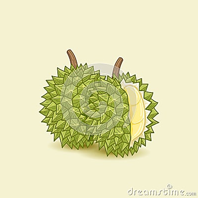 Durian fruit illustration Vector Illustration