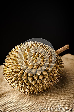 Durian fruit isolated Stock Photo