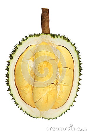 Durian fruit Stock Photo