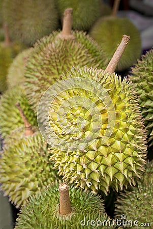 Durian - king of fruit Stock Photo