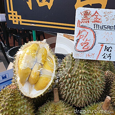 Durian king fruit musang Stock Photo