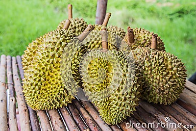 Durian king of fruits Stock Photo