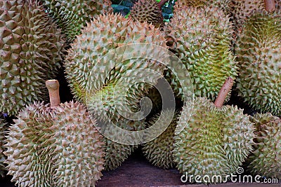 Durian, King of Tropical Fruits in Thailand. Stock Photo