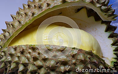 Durian, King of Tropical Fruits in Thailand. Stock Photo