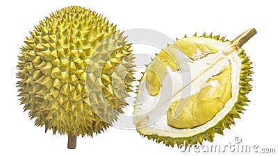 Durian Tropical fruit Stock Photo
