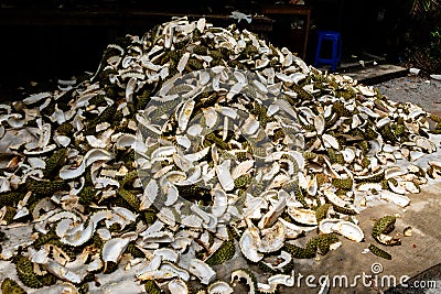 Durian peel, king of fruit from Thailand Stock Photo