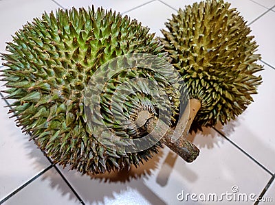 Durian - popular Southern Asia , nickname King of fruits Stock Photo