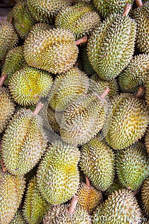 Durian , Thai King fruit Stock Photo