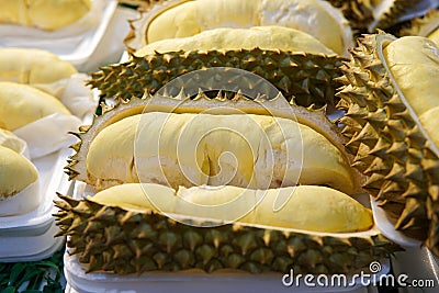 Durian in tray Stock Photo