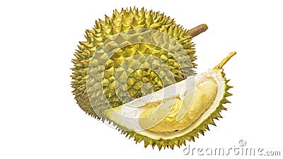 Durian Tropical fruit Stock Photo