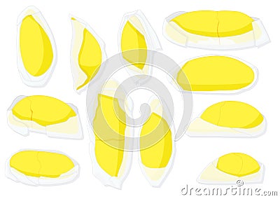 Golden yellow durian ripe wrapped in paper beautiful to eat Vector Illustration