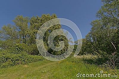 Durmmeersen nature reserve in spring. Ghent, Flanders, Belgium Stock Photo