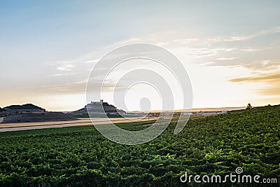 Dusk falling over the vineyards at the Ribera del Duero in Valladolid Stock Photo