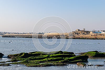 At dusk, the reef on the beach is covered with green algae, and the color is very beautiful Stock Photo