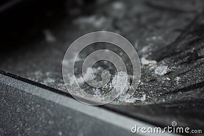 Dust bunnies closeup Stock Photo