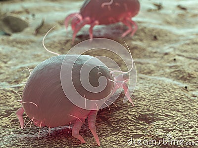 A dust mite Cartoon Illustration