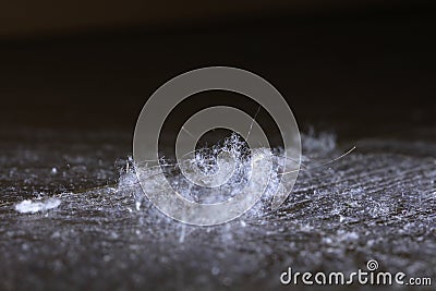 Dust on the wooden floor Stock Photo