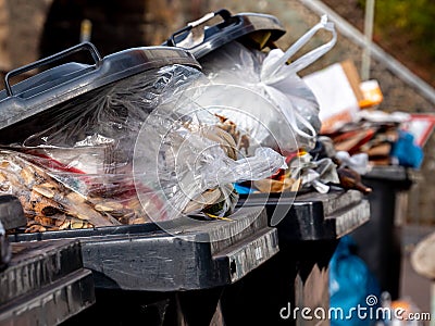 Dustbins with many garbage bags Stock Photo