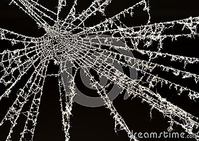 Dusty Backlit Cobweb Stock Photo
