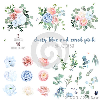 Dusty blue, blush pinkand coral rose, white hydrangea, peachy ranunculus Vector Illustration