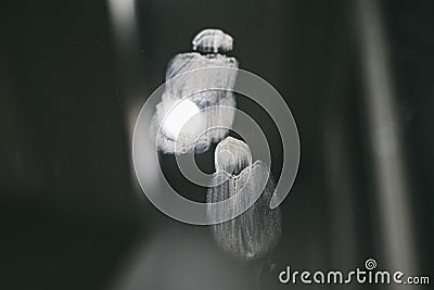 Fingerprints stains on a grey mirror glass Stock Photo