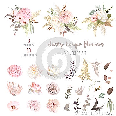 Dusty pink and ivory beige rose, pale hydrangea, peony flower, fern, dahlia Vector Illustration