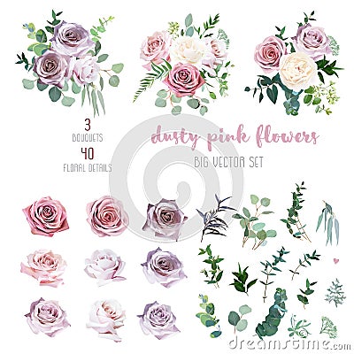 Dusty pink and mauve antique rose, lavender and pale flowers, eucalyptus Vector Illustration