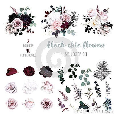 Dusty pink, pastel, black flowers big vector design set. Vector Illustration