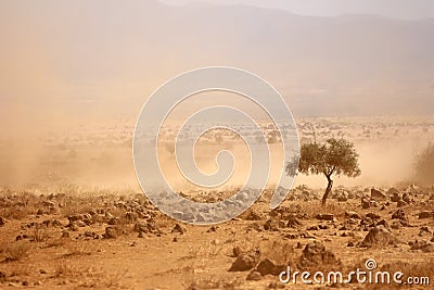 Dusty plains during a drought Stock Photo