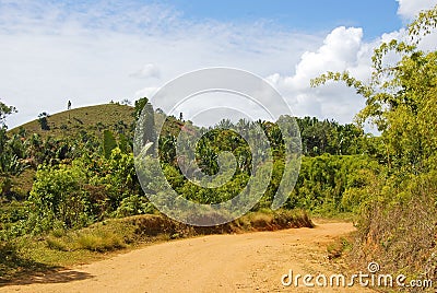 Dusty safari road Stock Photo